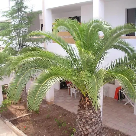 Con Piscina La Baia Del Gallo Apartment *
